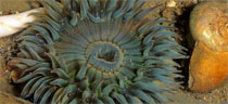 Macro Macro